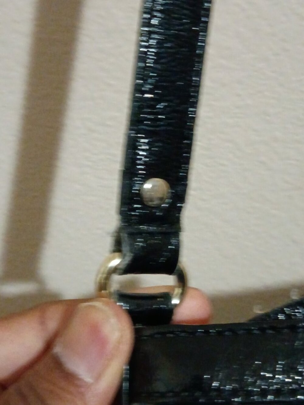 kate spade new york Black Crossbody Bag Bow Accent Gold Hardware - Picture 13 of 15